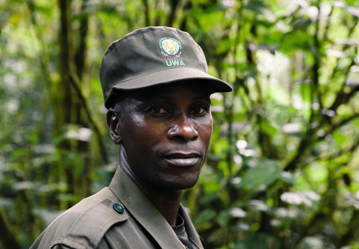 Ranger Uganda Wildlife Authority