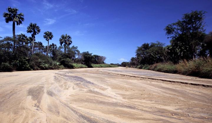 Dried Kidepo River (Uganda)
