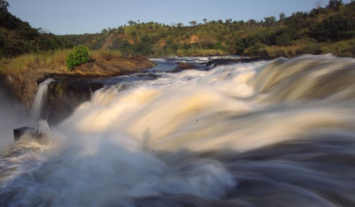 Murchison Falls National Park ( Uganda)
