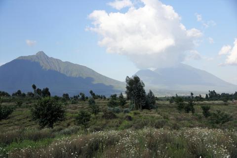 View on Virunga Chain of volcanoes (Gahinga Gorilla NP Uganda)